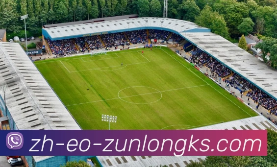 多媒体互动体验