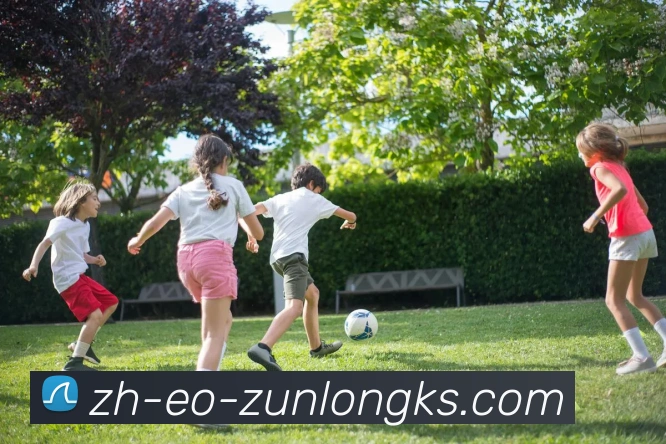 尊龙凯时官网APP 高清赛事图